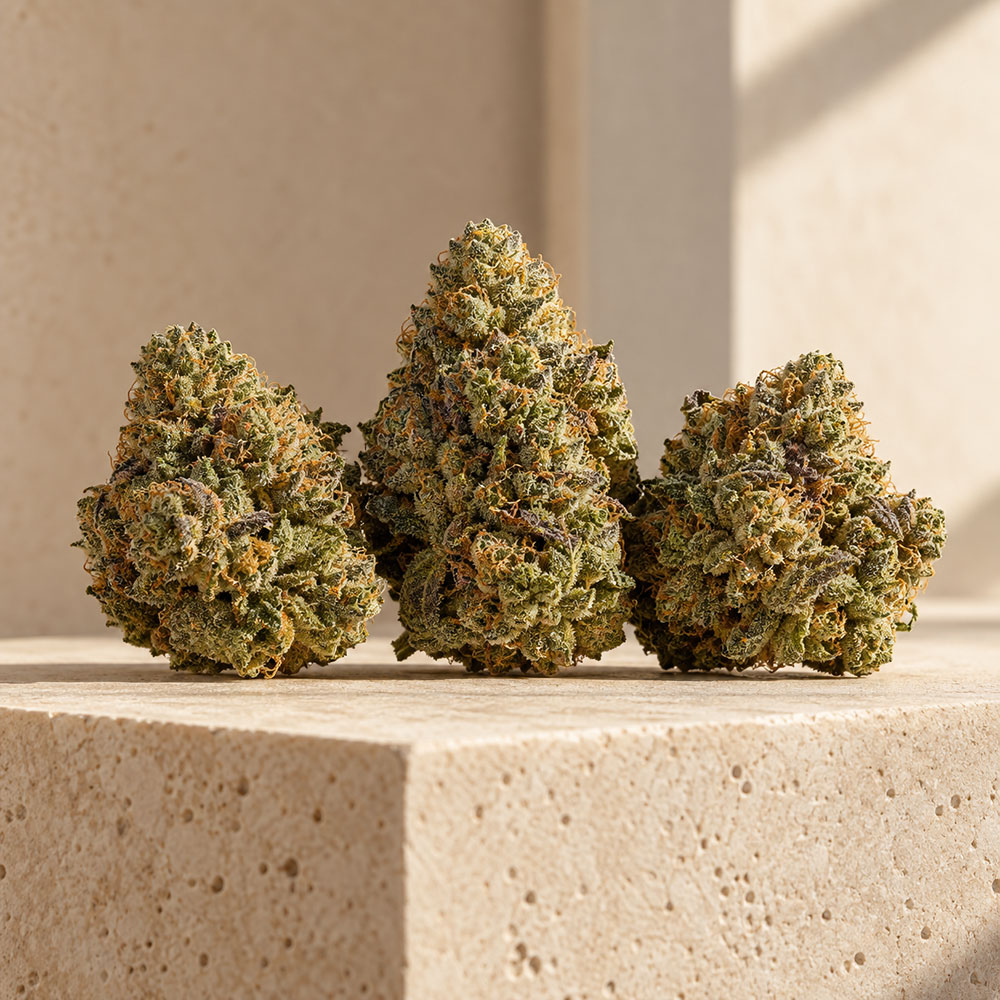 top-shelf-cannabis-flower-anchorage-ak